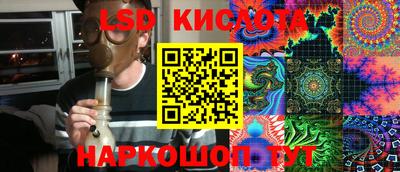 стафф Бердск