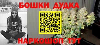 стафф Бердск