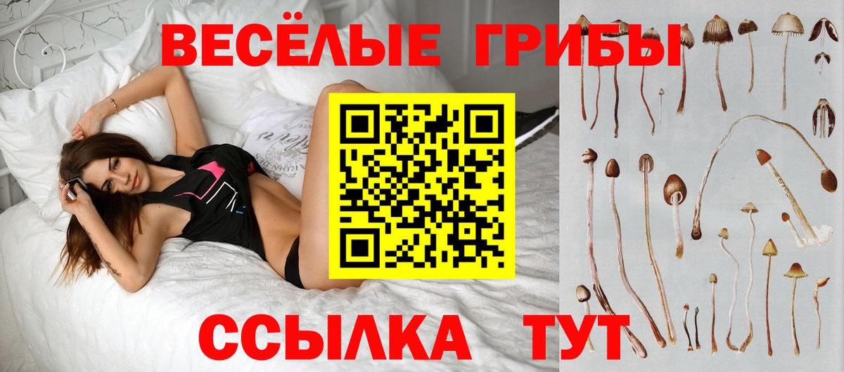 Псилоцибиновые грибы прущие грибы Гагарин